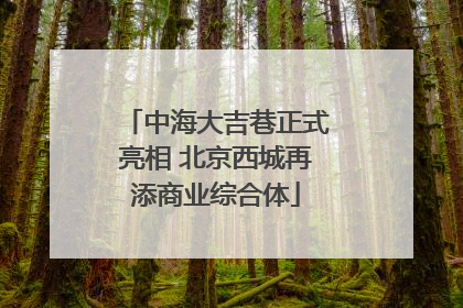 中海大吉巷正式亮相 北京西城再添商业综合体