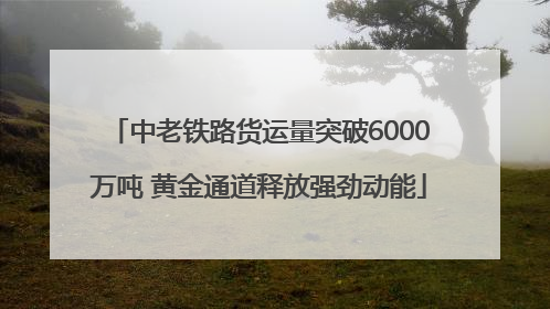 中老铁路货运量突破6000万吨 黄金通道释放强劲动能