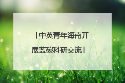 中英青年海南开展蓝碳科研交流