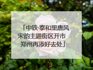 中铁·泰和里唐风宋韵主题街区开市 郑州再添好去处