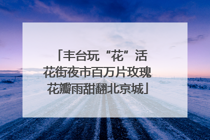丰台玩“花”活 花街夜市百万片玫瑰花瓣雨甜翻北京城