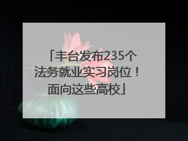 丰台发布235个法务就业实习岗位！面向这些高校