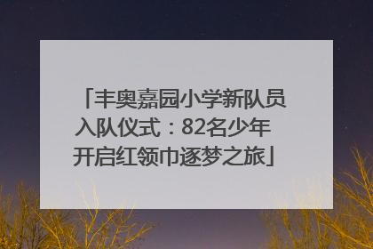 丰奥嘉园小学新队员入队仪式：82名少年开启红领巾逐梦之旅