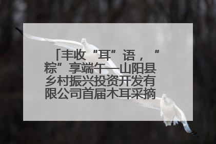 丰收“耳”语，“粽”享端午—山阳县乡村振兴投资开发有限公司首届木耳采摘活动盛大启幕
