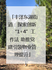 丰泽东湖街道：探索创新“1+4”工作法 助推党建引领物业管理提升