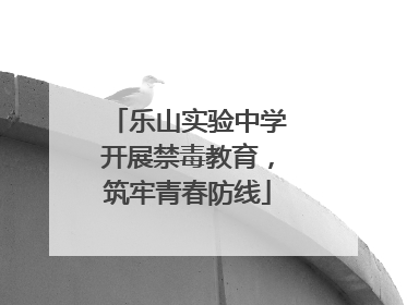 乐山实验中学开展禁毒教育，筑牢青春防线