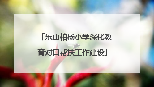 乐山柏杨小学深化教育对口帮扶工作建设