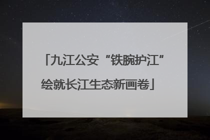 九江公安“铁腕护江”绘就长江生态新画卷