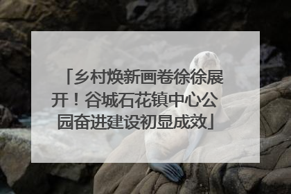 乡村焕新画卷徐徐展开！谷城石花镇中心公园奋进建设初显成效