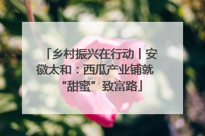 乡村振兴在行动丨安徽太和：西瓜产业铺就“甜蜜”致富路