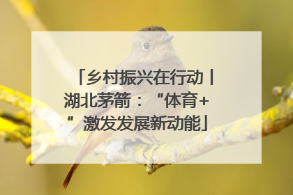 乡村振兴在行动丨湖北茅箭：“体育+”激发发展新动能
