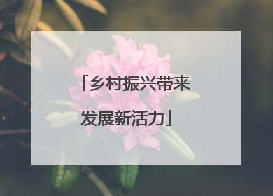 乡村振兴带来发展新活力