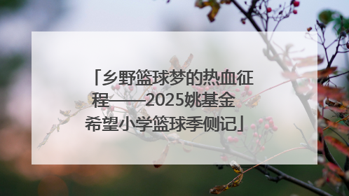 乡野篮球梦的热血征程——2025姚基金希望小学篮球季侧记
