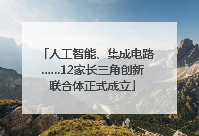 人工智能、集成电路……12家长三角创新联合体正式成立