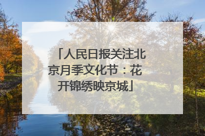 人民日报关注北京月季文化节：花开锦绣映京城