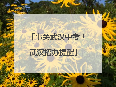 事关武汉中考！武汉招办提醒