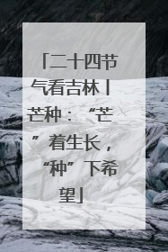 二十四节气看吉林丨芒种：“芒”着生长，“种”下希望