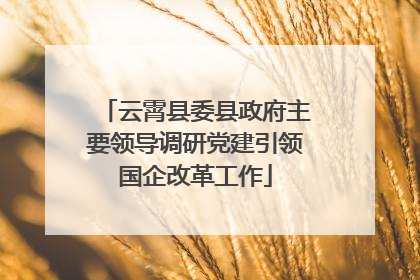 云霄县委县政府主要领导调研党建引领国企改革工作