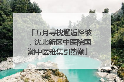 五月寻槐邂逅怪坡，沈北新区中医院国潮中医雅集引热潮