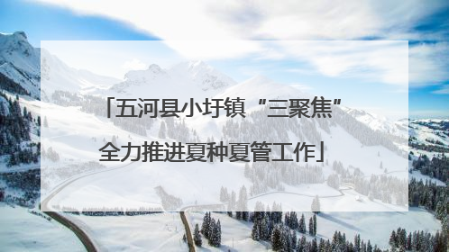 五河县小圩镇“三聚焦”全力推进夏种夏管工作