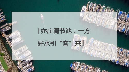 亦庄调节池：一方好水引“客”来