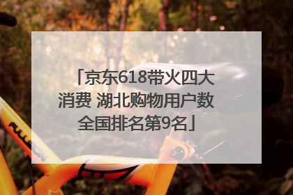 京东618带火四大消费 湖北购物用户数全国排名第9名