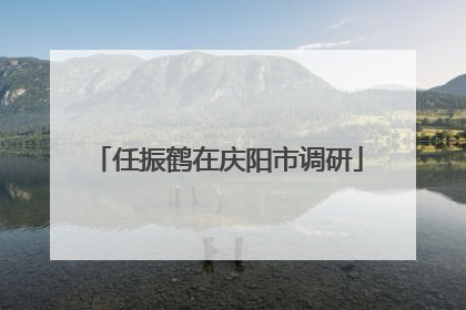 任振鹤在庆阳市调研
