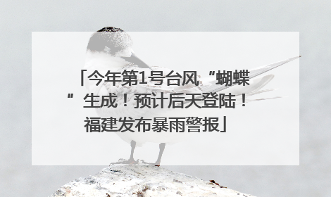 今年第1号台风“蝴蝶”生成！预计后天登陆！福建发布暴雨警报