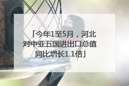 今年1至5月，河北对中亚五国进出口总值同比增长1.1倍