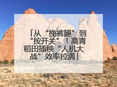 从“挽裤腿”到“按开关”！高青稻田插秧“人机大战”效率拉满