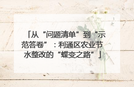 从“问题清单”到“示范答卷”：利通区农业节水整改的“蝶变之路”