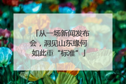 从一场新闻发布会，洞见山东缘何如此重“标准”