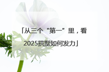 从三个“第一”里，看2025拱墅如何发力