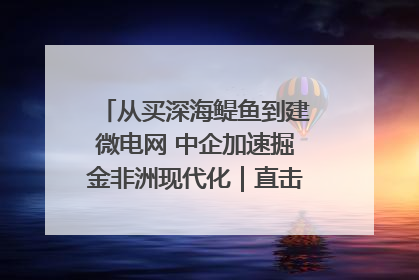 从买深海鳀鱼到建微电网 中企加速掘金非洲现代化｜直击中非经贸博览会