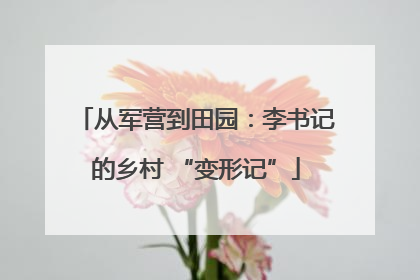从军营到田园：李书记的乡村 “变形记”