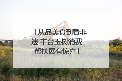 从品美食到看非遗 丰台玉树消费帮扶展有惊喜