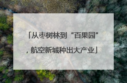 从枣树林到“百果园”，航空新城种出大产业