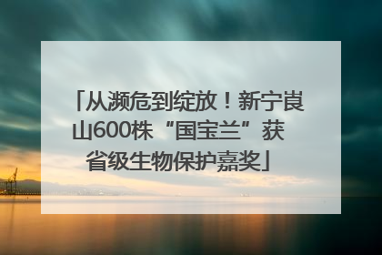 从濒危到绽放！新宁崀山600株“国宝兰”获省级生物保护嘉奖