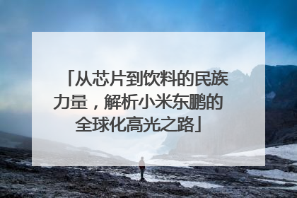 从芯片到饮料的民族力量，解析小米东鹏的全球化高光之路