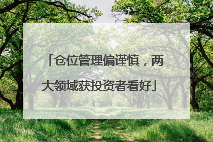 仓位管理偏谨慎，两大领域获投资者看好