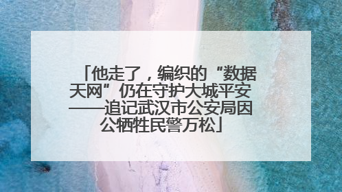 他走了，编织的“数据天网”仍在守护大城平安——追记武汉市公安局因公牺牲民警万松
