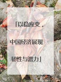 以稳应变,中国经济展现韧性与潜力