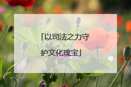 以司法之力守护文化瑰宝