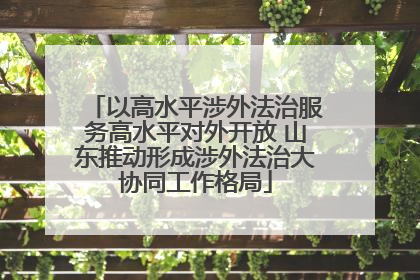 以高水平涉外法治服务高水平对外开放 山东推动形成涉外法治大协同工作格局
