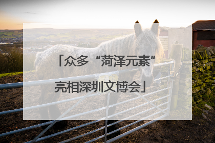 众多“菏泽元素”亮相深圳文博会