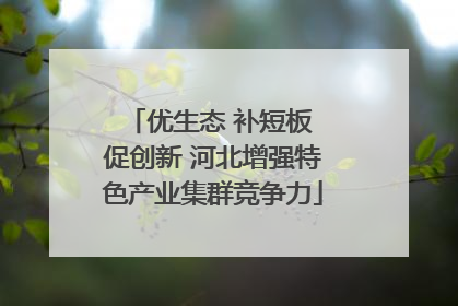 优生态 补短板 促创新 河北增强特色产业集群竞争力