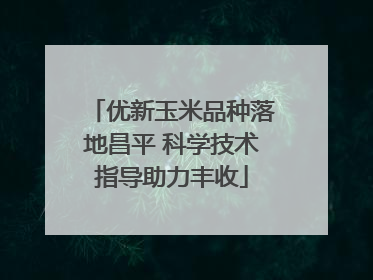 优新玉米品种落地昌平 科学技术指导助力丰收