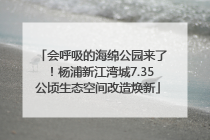 会呼吸的海绵公园来了！杨浦新江湾城7.35公顷生态空间改造焕新