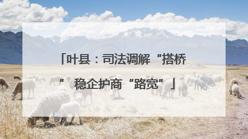 叶县：司法调解“搭桥” 稳企护商“路宽”
