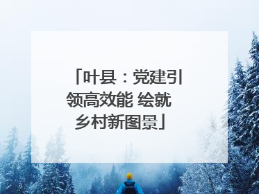 叶县：党建引领高效能 绘就乡村新图景